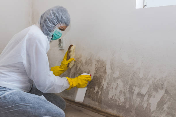 Crawl Space Mold Removal in Vero Lake Estates, FL